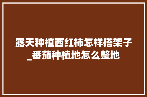 露天种植西红柿怎样搭架子_番茄种植地怎么整地