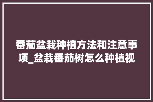 番茄盆栽种植方法和注意事项_盆栽番茄树怎么种植视频 番茄盆栽种植方法和注意事项_盆栽番茄树怎么种植视频 植物种类