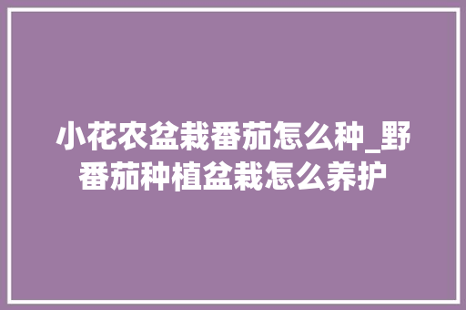 小花农盆栽番茄怎么种_野番茄种植盆栽怎么养护 小花农盆栽番茄怎么种_野番茄种植盆栽怎么养护 土壤施肥