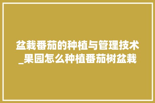 盆栽番茄的种植与管理技术_果园怎么种植番茄树盆栽视频 盆栽番茄的种植与管理技术_果园怎么种植番茄树盆栽视频 土壤施肥