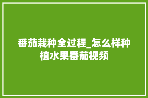 番茄栽种全过程_怎么样种植水果番茄视频 番茄栽种全过程_怎么样种植水果番茄视频 农业常识