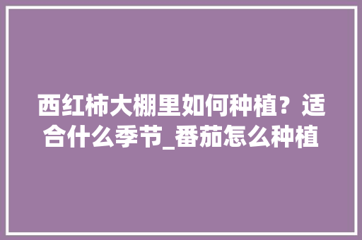西红柿大棚里如何种植？适合什么季节_番茄怎么种植大棚视频 西红柿大棚里如何种植？适合什么季节_番茄怎么种植大棚视频 植物种类