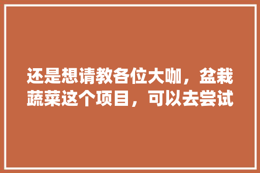 还是想请教各位大咖，盆栽蔬菜这个项目，可以去尝试吗，有空间吗_新人做蔬菜种植技巧视频教程 还是想请教各位大咖，盆栽蔬菜这个项目，可以去尝试吗，有空间吗_新人做蔬菜种植技巧视频教程 农业常识