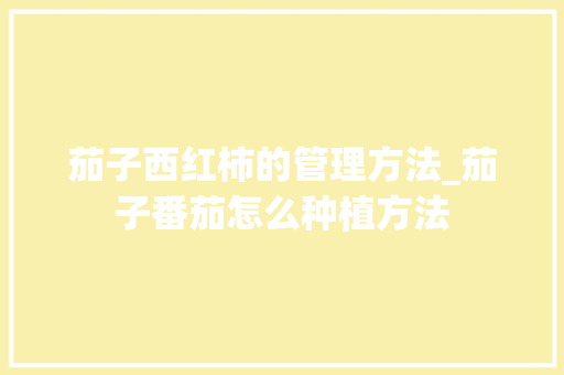 茄子西红柿的管理方法_茄子番茄怎么种植方法