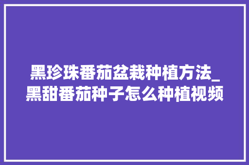 黑珍珠番茄盆栽种植方法_黑甜番茄种子怎么种植视频 黑珍珠番茄盆栽种植方法_黑甜番茄种子怎么种植视频 土壤施肥
