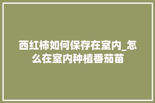 西红柿如何保存在室内_怎么在室内种植番茄苗 西红柿如何保存在室内_怎么在室内种植番茄苗 番茄种植技巧