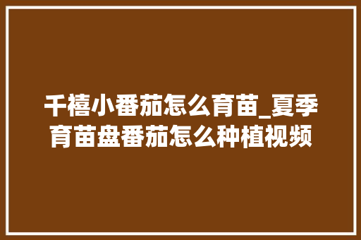 千禧小番茄怎么育苗_夏季育苗盘番茄怎么种植视频 千禧小番茄怎么育苗_夏季育苗盘番茄怎么种植视频 植物种类