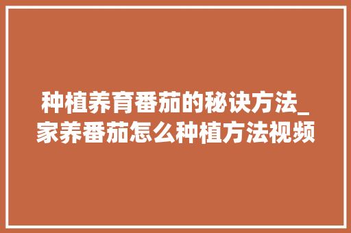 种植养育番茄的秘诀方法_家养番茄怎么种植方法视频 种植养育番茄的秘诀方法_家养番茄怎么种植方法视频 植物种类