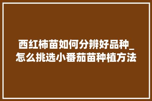 西红柿苗如何分辨好品种_怎么挑选小番茄苗种植方法 西红柿苗如何分辨好品种_怎么挑选小番茄苗种植方法 农业常识
