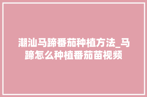潮汕马蹄番茄种植方法_马蹄怎么种植番茄苗视频