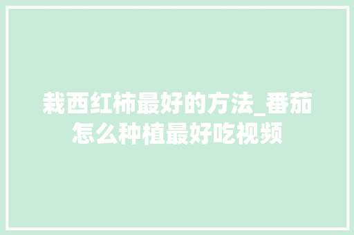 栽西红柿最好的方法_番茄怎么种植最好吃视频 栽西红柿最好的方法_番茄怎么种植最好吃视频 番茄种植技巧