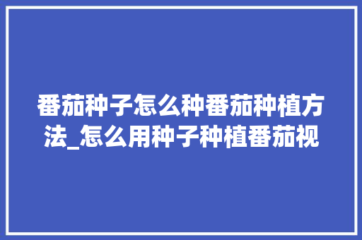 番茄种子怎么种番茄种植方法_怎么用种子种植番茄视频 番茄种子怎么种番茄种植方法_怎么用种子种植番茄视频 种植技巧
