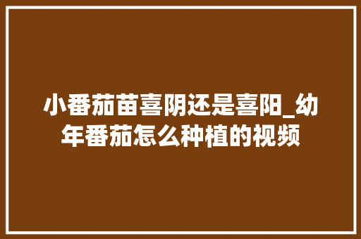 小番茄苗喜阴还是喜阳_幼年番茄怎么种植的视频 小番茄苗喜阴还是喜阳_幼年番茄怎么种植的视频 种植技巧