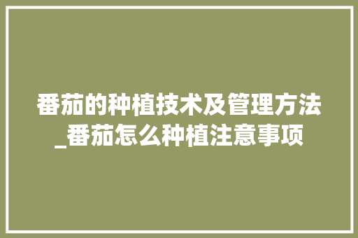 番茄的种植技术及管理方法_番茄怎么种植注意事项 番茄的种植技术及管理方法_番茄怎么种植注意事项 番茄种植技巧