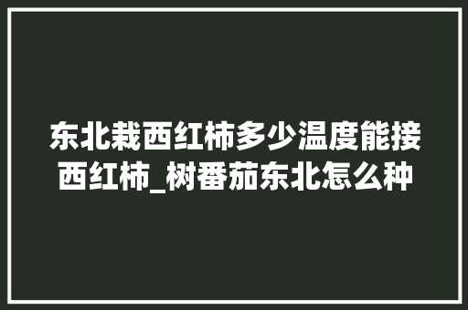 东北栽西红柿多少温度能接西红柿_树番茄东北怎么种植的
