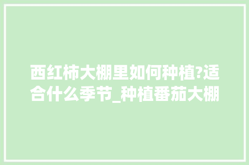 西红柿大棚里如何种植?适合什么季节_种植番茄大棚怎么建设的呢