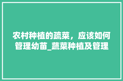 农村种植的疏菜，应该如何管理幼苗_蔬菜种植及管理技巧与方法