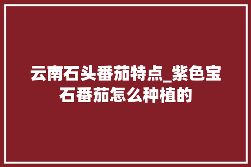 云南石头番茄特点_紫色宝石番茄怎么种植的 云南石头番茄特点_紫色宝石番茄怎么种植的 植物种类