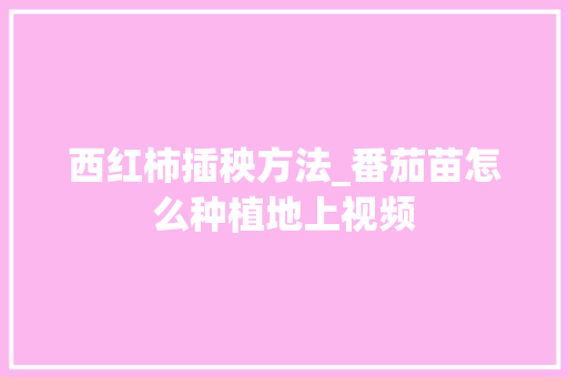 西红柿插秧方法_番茄苗怎么种植地上视频