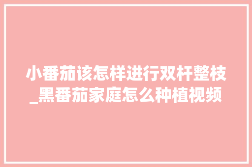 小番茄该怎样进行双杆整枝_黑番茄家庭怎么种植视频教程 小番茄该怎样进行双杆整枝_黑番茄家庭怎么种植视频教程 植物种类