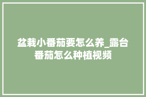 盆栽小番茄要怎么养_露台番茄怎么种植视频