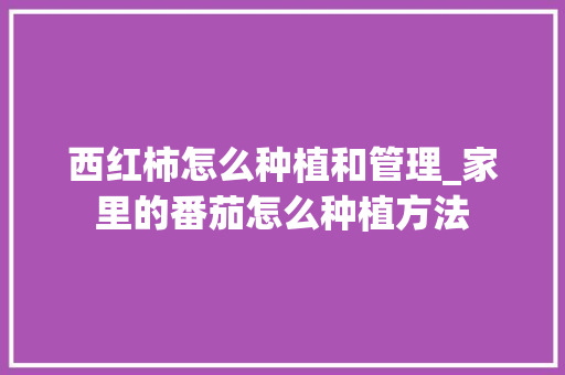 西红柿怎么种植和管理_家里的番茄怎么种植方法 西红柿怎么种植和管理_家里的番茄怎么种植方法 植物种类