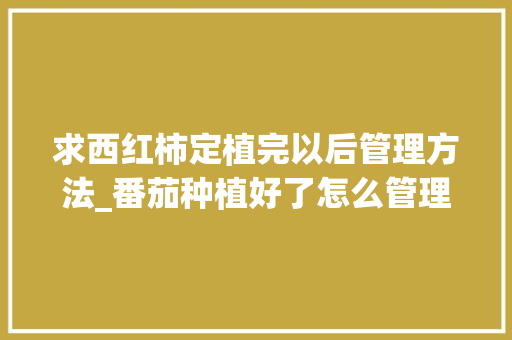 求西红柿定植完以后管理方法_番茄种植好了怎么管理呢