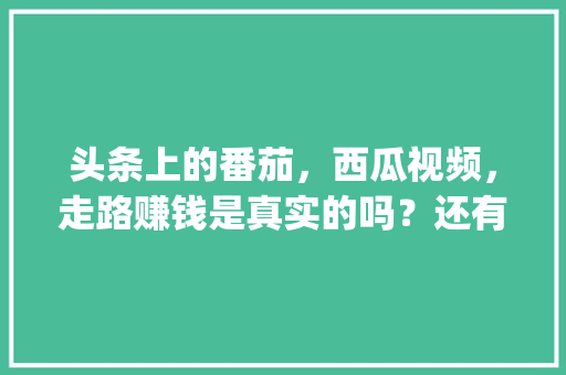 头条上的番茄，西瓜视频，走路赚钱是真实的吗？还有拼多多_家庭种番茄怎么种植视频教程 头条上的番茄，西瓜视频，走路赚钱是真实的吗？还有拼多多_家庭种番茄怎么种植视频教程 农业常识