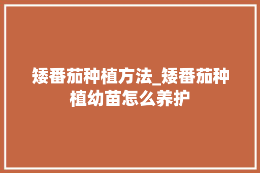 矮番茄种植方法_矮番茄种植幼苗怎么养护 矮番茄种植方法_矮番茄种植幼苗怎么养护 土壤施肥