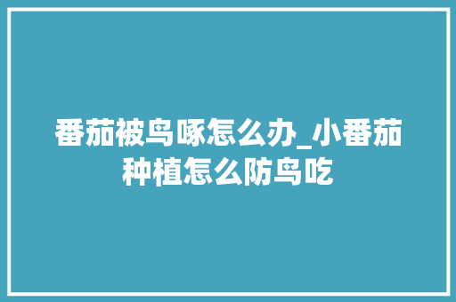 番茄被鸟啄怎么办_小番茄种植怎么防鸟吃 番茄被鸟啄怎么办_小番茄种植怎么防鸟吃 番茄病虫害防治