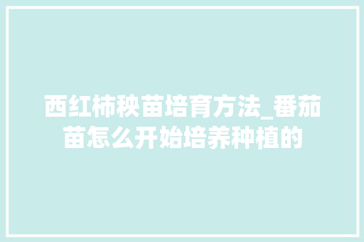 西红柿秧苗培育方法_番茄苗怎么开始培养种植的 西红柿秧苗培育方法_番茄苗怎么开始培养种植的 植物种类