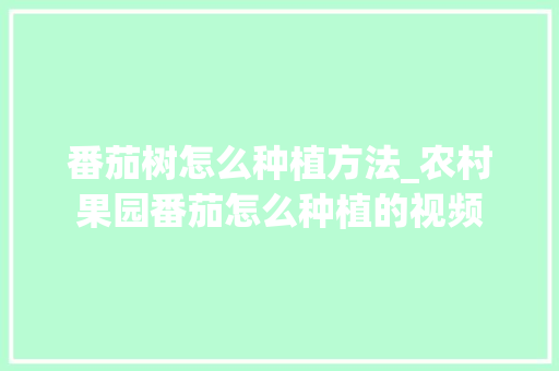 番茄树怎么种植方法_农村果园番茄怎么种植的视频 番茄树怎么种植方法_农村果园番茄怎么种植的视频 农业常识