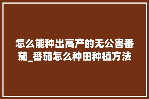 怎么能种出高产的无公害番茄_番茄怎么种田种植方法视频