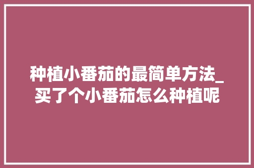 种植小番茄的最简单方法_买了个小番茄怎么种植呢 种植小番茄的最简单方法_买了个小番茄怎么种植呢 土壤施肥