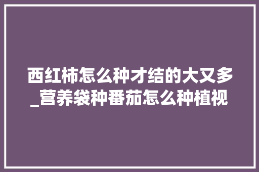 西红柿怎么种才结的大又多_营养袋种番茄怎么种植视频