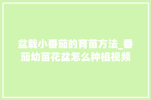 盆栽小番茄的育苗方法_番茄幼苗花盆怎么种植视频