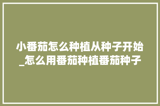 小番茄怎么种植从种子开始_怎么用番茄种植番茄种子呢 土壤施肥 小番茄怎么种植从种子开始_怎么用番茄种植番茄种子呢 小番茄怎么种植从种子开始_怎么用番茄种植番茄种子呢 土壤施肥