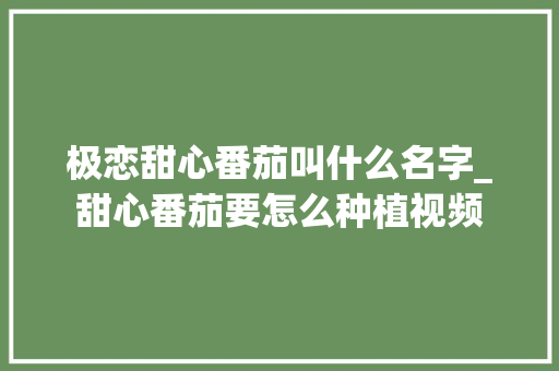 极恋甜心番茄叫什么名字_甜心番茄要怎么种植视频