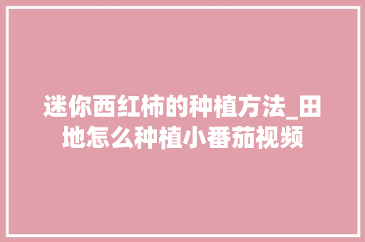 迷你西红柿的种植方法_田地怎么种植小番茄视频 迷你西红柿的种植方法_田地怎么种植小番茄视频 番茄种植技巧