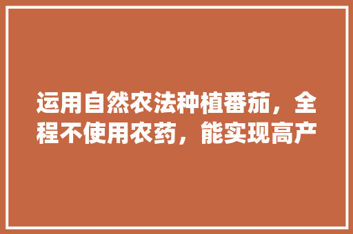 运用自然农法种植番茄，全程不使用农药，能实现高产高品质吗_自种有机番茄怎么种植的 运用自然农法种植番茄，全程不使用农药，能实现高产高品质吗_自种有机番茄怎么种植的 植物种类