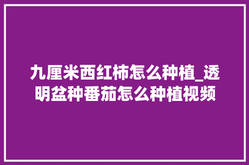 九厘米西红柿怎么种植_透明盆种番茄怎么种植视频 九厘米西红柿怎么种植_透明盆种番茄怎么种植视频 植物种类