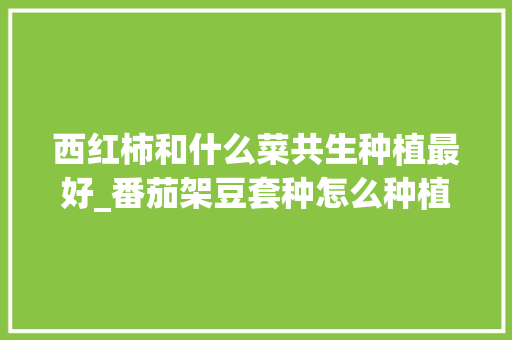 西红柿和什么菜共生种植最好_番茄架豆套种怎么种植视频