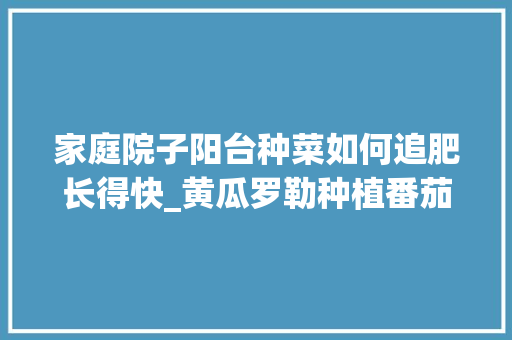 家庭院子阳台种菜如何追肥长得快_黄瓜罗勒种植番茄怎么种植 家庭院子阳台种菜如何追肥长得快_黄瓜罗勒种植番茄怎么种植 土壤施肥