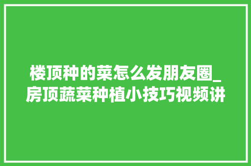 楼顶种的菜怎么发朋友圈_房顶蔬菜种植小技巧视频讲解 楼顶种的菜怎么发朋友圈_房顶蔬菜种植小技巧视频讲解 农业常识