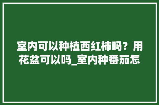 室内可以种植西红柿吗？用花盆可以吗_室内种番茄怎么种植视频 室内可以种植西红柿吗？用花盆可以吗_室内种番茄怎么种植视频 土壤施肥