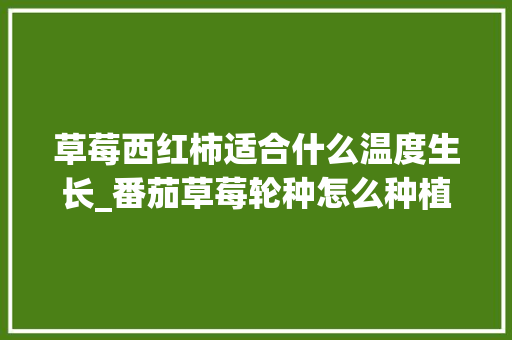 草莓西红柿适合什么温度生长_番茄草莓轮种怎么种植视频