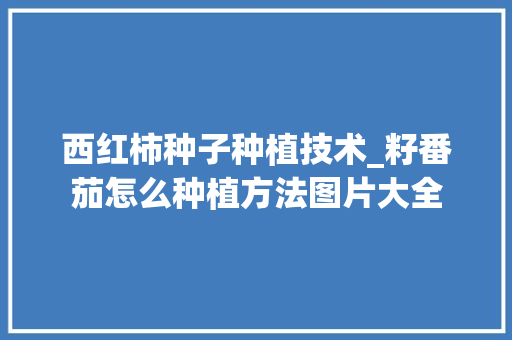 西红柿种子种植技术_籽番茄怎么种植方法图片大全 西红柿种子种植技术_籽番茄怎么种植方法图片大全 花朵知识