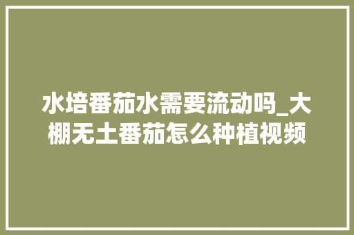 水培番茄水需要流动吗_大棚无土番茄怎么种植视频 水培番茄水需要流动吗_大棚无土番茄怎么种植视频 番茄种植技巧