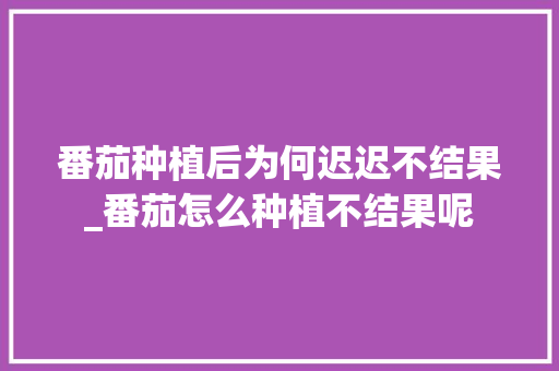 番茄种植后为何迟迟不结果_番茄怎么种植不结果呢 番茄种植后为何迟迟不结果_番茄怎么种植不结果呢 花朵知识