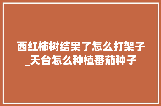 西红柿树结果了怎么打架子_天台怎么种植番茄种子